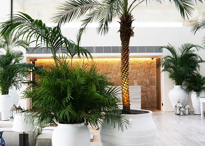 The Bodrum Edition 얄리카베크