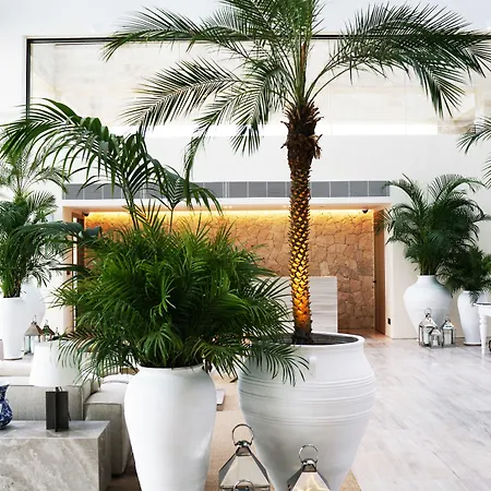 ذا بودروم اديشن يالِكافاك